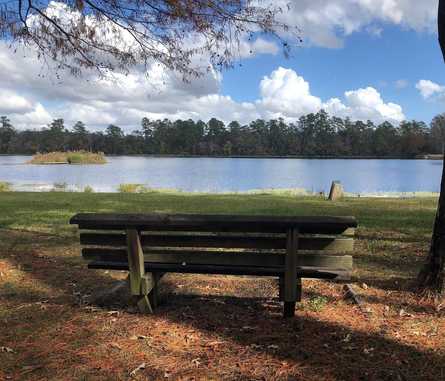 Little Pee Dee State Park